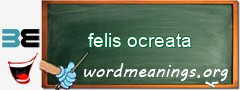 WordMeaning blackboard for felis ocreata